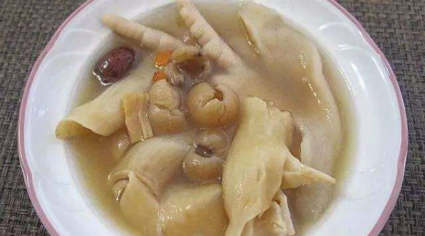 花胶是什么