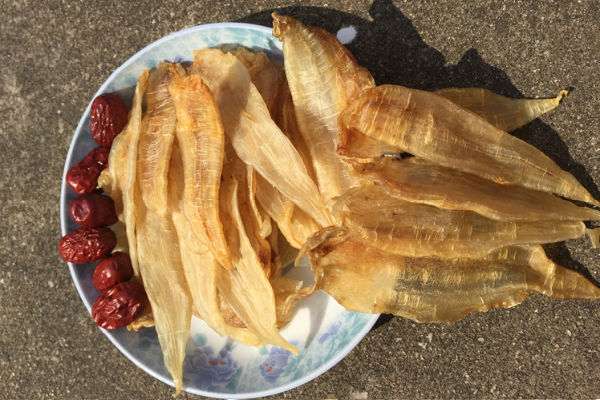 金龙鱼胶