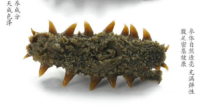 盐渍海参的吃法