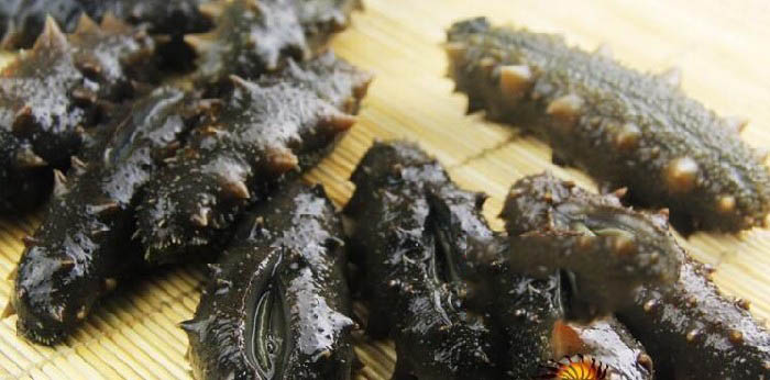 盐渍海参的吃法