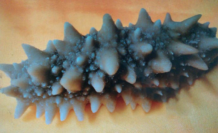 冷冻海参的食用方法