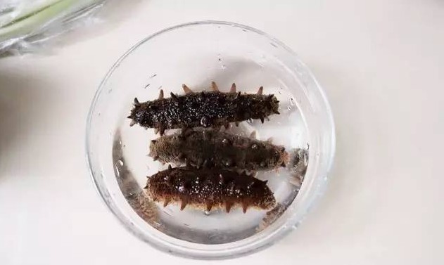 海参烹饪步骤 (1).jpg