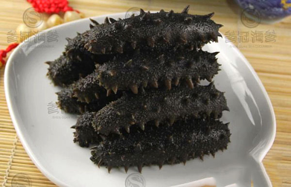 大连拉缸盐海参