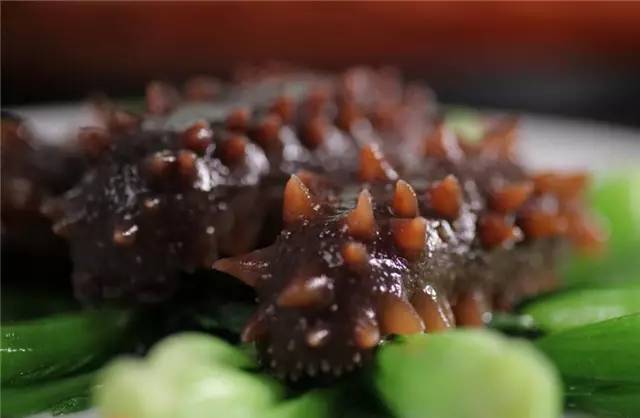 海参滋补 (3).jpg