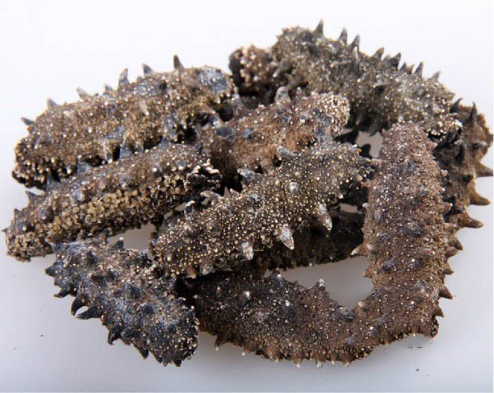 干海参的食用方法