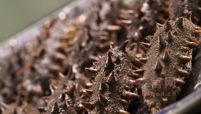 干海参的食用方法