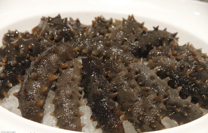 正确食用海参的方式