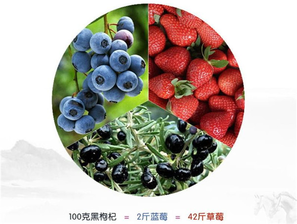 黑枸杞不适合什么人喝