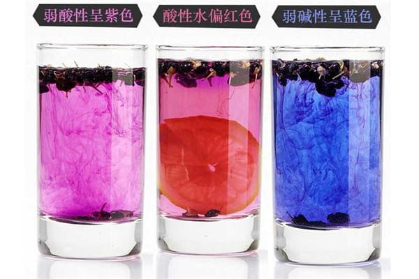 有颈椎病可以吃黑枸杞吗