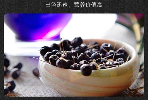 黑枸杞夏季能喝吗 夏天可以吃黑枸杞吗