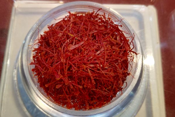 藏红花男人吃了有效果