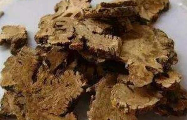 川芎泡水喝的功效与作用